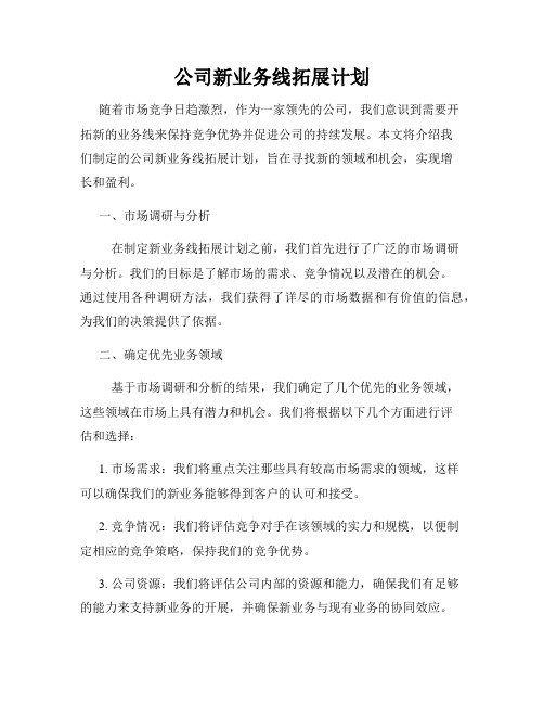 公司新业务线拓展计划