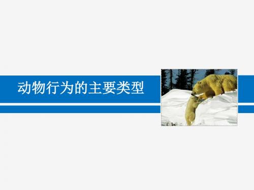 最新-北师大版初中生物八上第五单元16.2《动物行为的主要类型》 (共58张PPT)-PPT文档资料