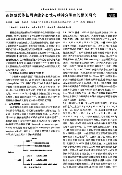 谷氨酸受体基因功能多态性与精神分裂症的相关研究