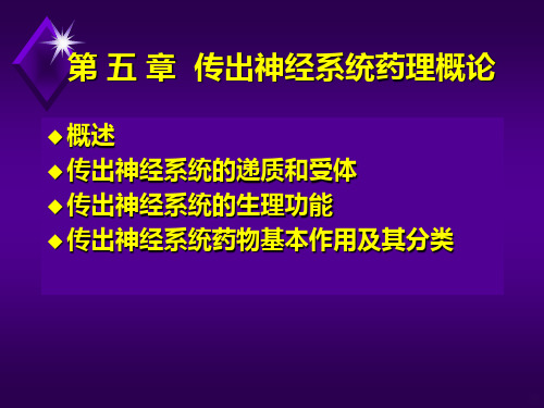 去甲肾上腺素能神经PPT课件