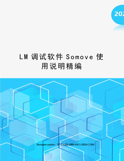 LM调试软件Somove使用说明精编