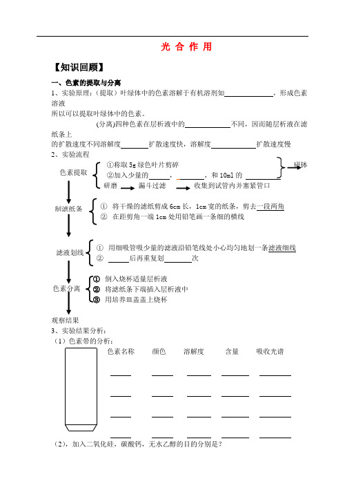 界高三一轮复习导学案：光合作用