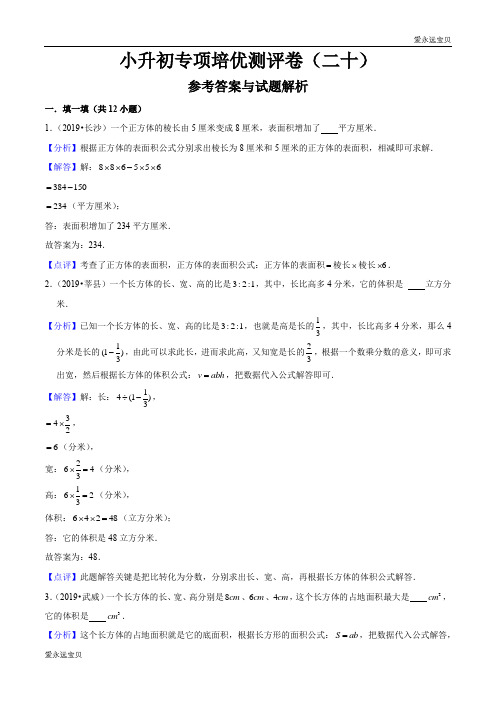 六年级数学小升初专项测评卷(二十)立体图形的表面积和体积(解析版)