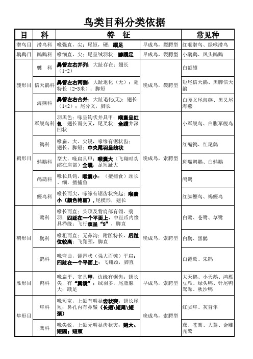 鸟类分类表