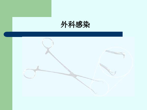 兽医外科学课件：外科感染