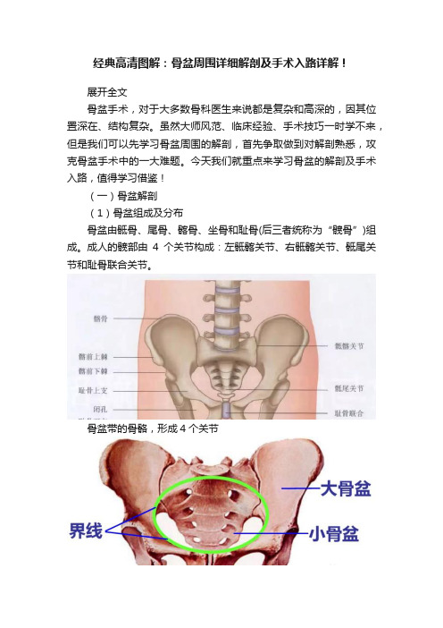 经典高清图解：骨盆周围详细解剖及手术入路详解！