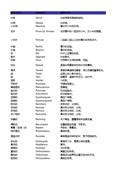 植物学形态术语