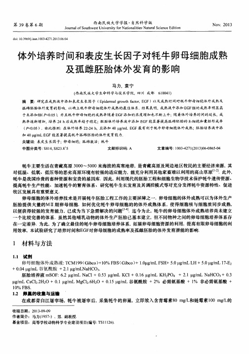 体外培养时间和表皮生长因子对牦牛卵母细胞成熟及孤雌胚胎体外发育的影响