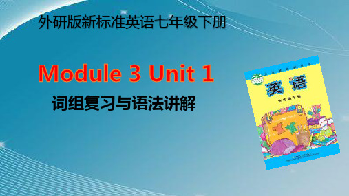 初中英语外研版七年下三模块1  M3U1词组复习和语法讲解