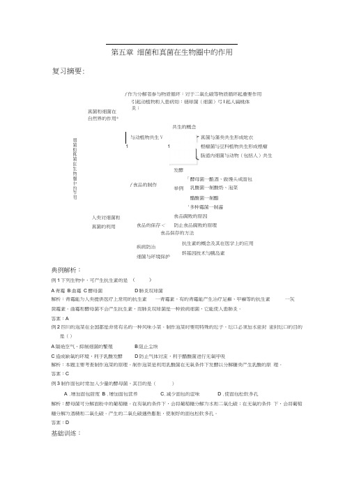 细菌和真菌在生物圈中的作用