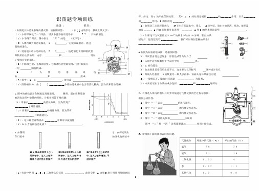 七年级生物下册识图题