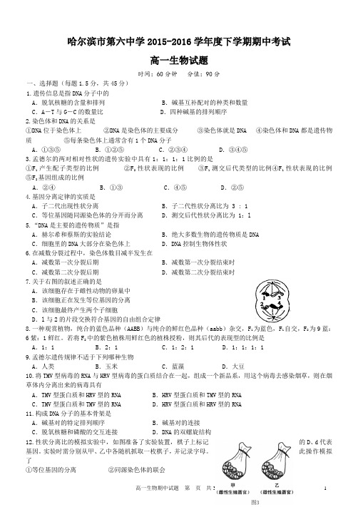 2015-2016学年黑龙江省哈尔滨市第六中学高一下学期期中考试生物试题