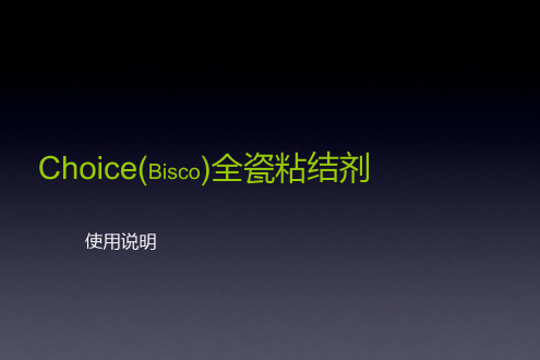 Choice(Bisco)全瓷粘结剂