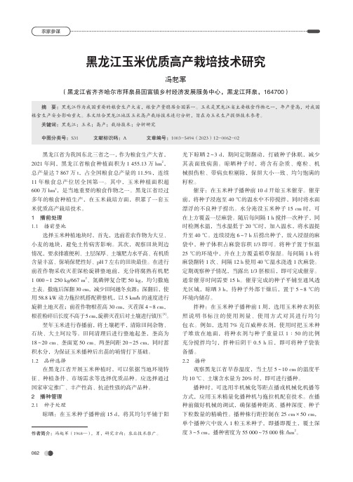 黑龙江玉米优质高产栽培技术研究