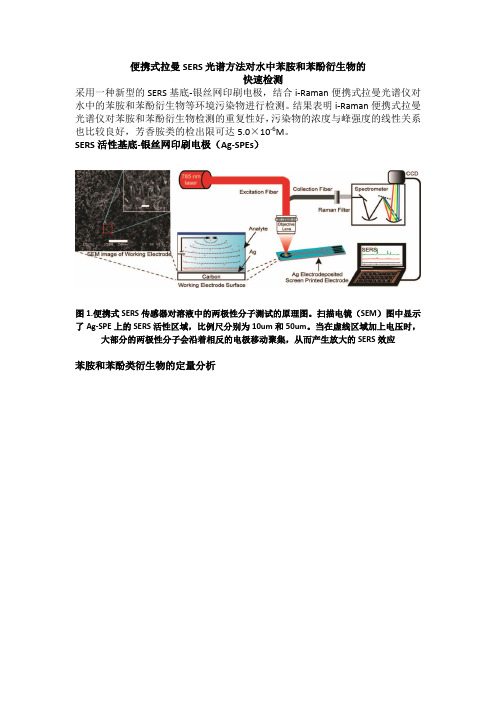 便携式拉曼SERS光谱方法对水中苯胺和苯酚衍生物的