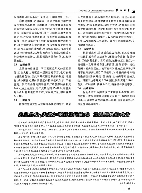 元旦前后：天寒加剧蔬菜运输难菜贩居民都喊贵