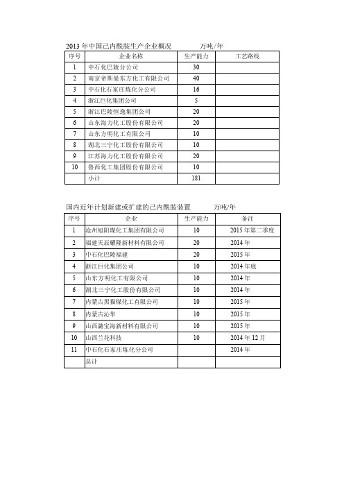 中国己内酰胺生产企业概况