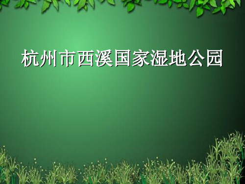 西溪湿地调研实习报告