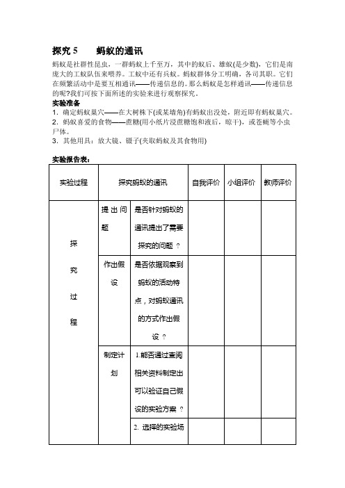 探究5 蚂蚁的通讯