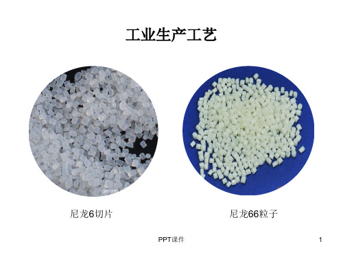 尼龙工业生产工艺最新  ppt课件