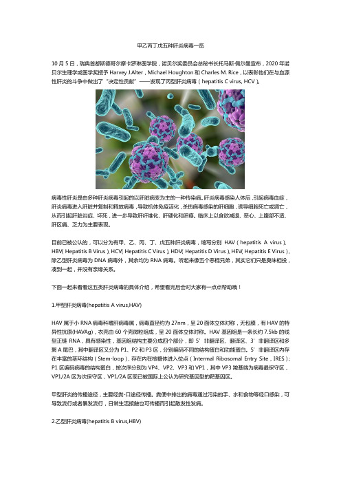 甲乙丙丁戊五种肝炎病毒一览