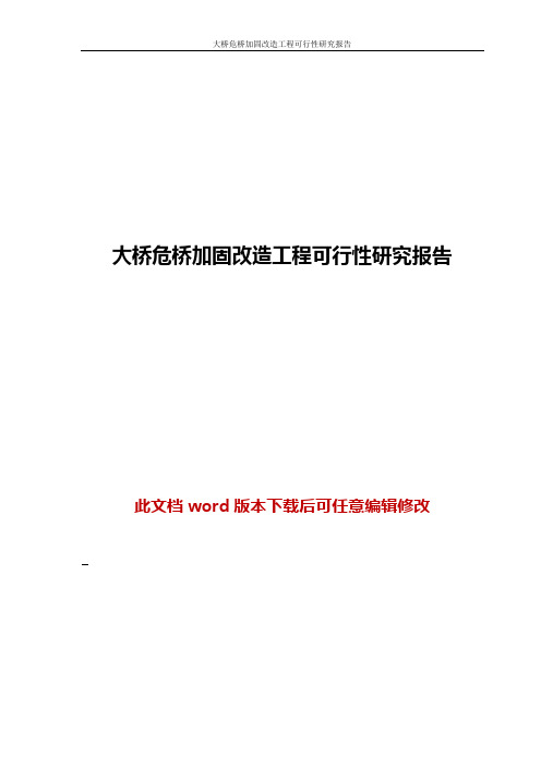 大桥危桥加固改造工程可行性研究报告