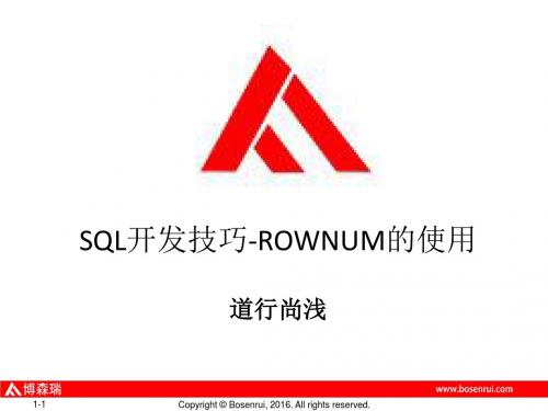 SQL开发技巧 _ROWNUM的使用【博森瑞】