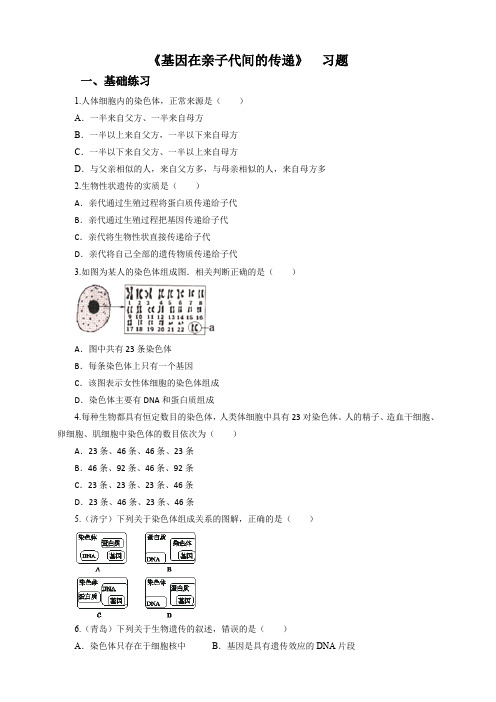第二章第2节 基因在亲子代间的传递（习题）