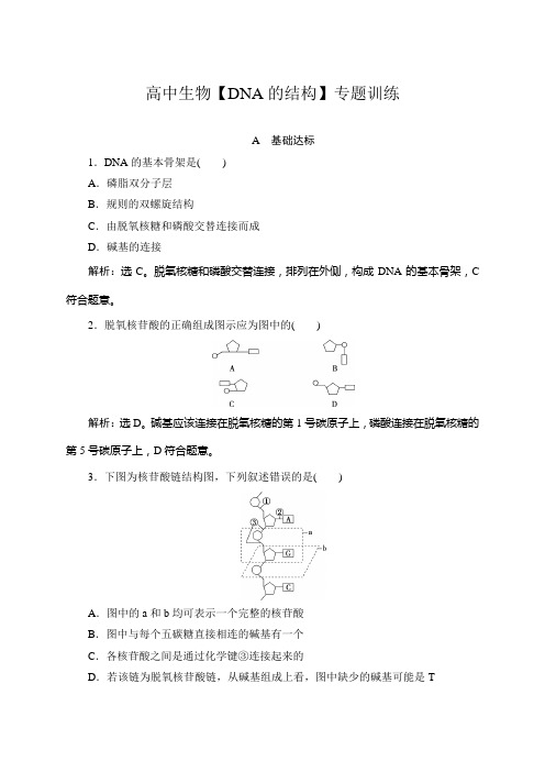 高中生物【DNA的结构】专题训练