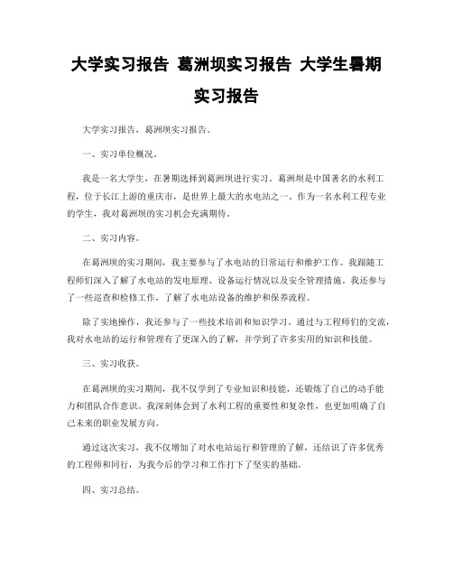 大学实习报告 葛洲坝实习报告 大学生暑期实习报告