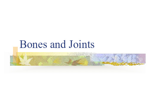 【英文课件】Bones and Joints -北京协和医院学习