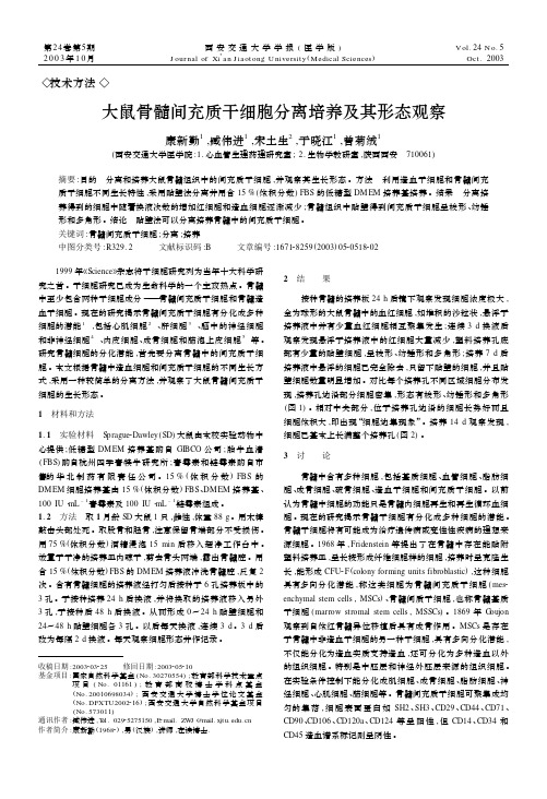 大鼠MSCs分离培养及其形态观察