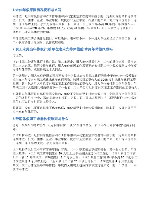 工作人员未安排休假情况说明