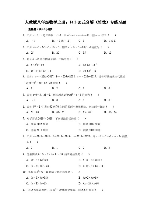  人教版八年级数学上册14.3因式分解 (培优) 专练(含答案解析)