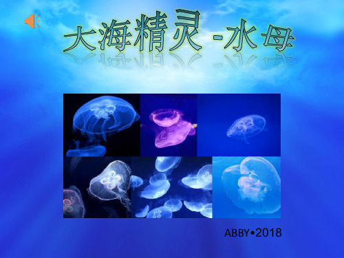 水母 一年级认知版