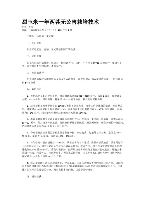 甜玉米一年两茬无公害栽培技术