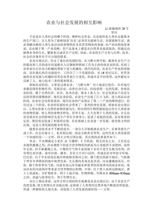 农业与社会发展的相互影响