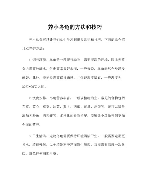 养小乌龟的方法和技巧