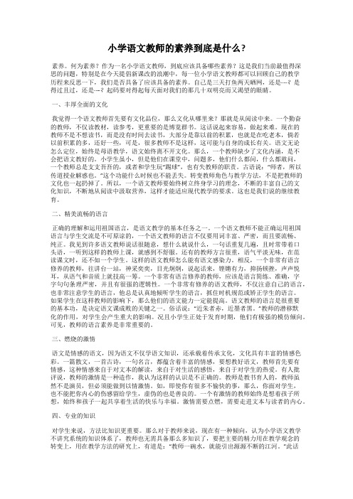 小学语文教师的素养到底是什么_