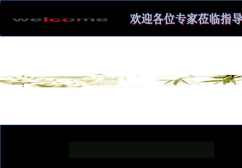简单的线性规划PPT课件