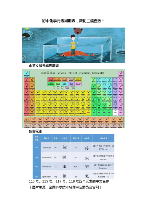 初中化学元素周期表，新初三请查收！