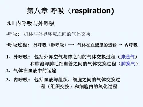 动物生理学第八章呼吸