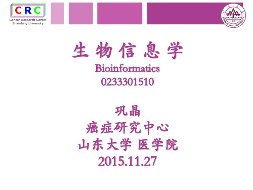 蛋白质分子对接-山东大学课程中心