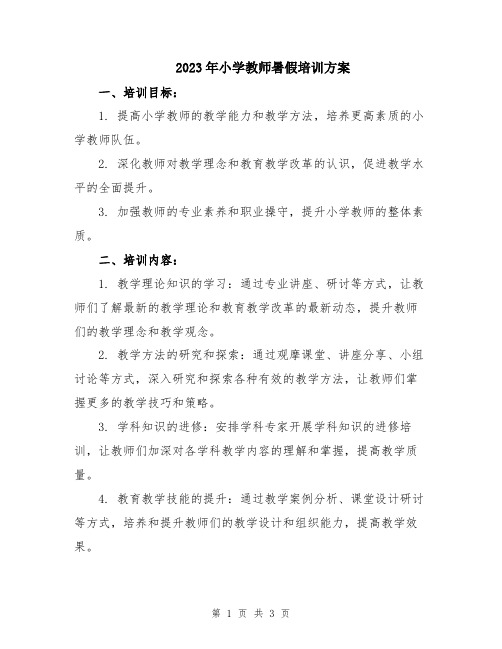 2023年小学教师暑假培训方案