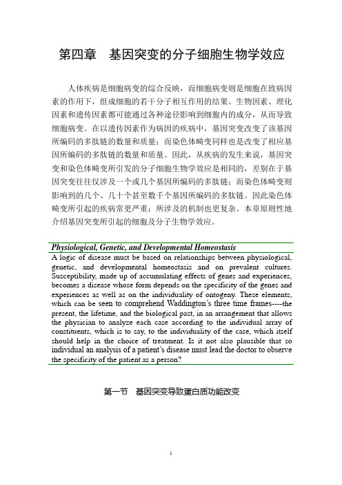 mg104突变基因的分子细胞生物学效应