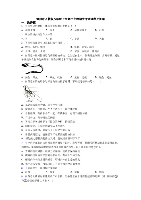 徐州市人教版八年级上册期中生物期中考试试卷及答案