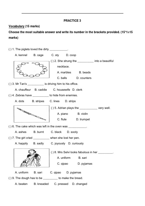 新加坡小学二年级英语试卷PRACTICE 3