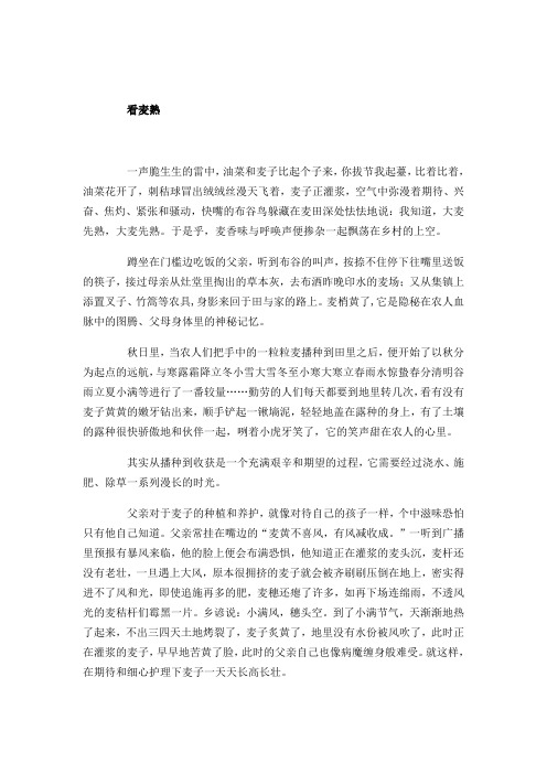看麦熟