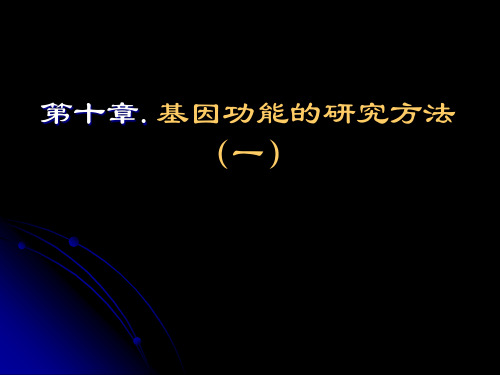 10(1).基因功能的研究方法