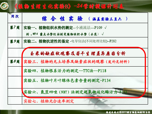 2 实验二 植物的溶液培养和缺素症状观察-柯20130410上课-11级生物基地班3